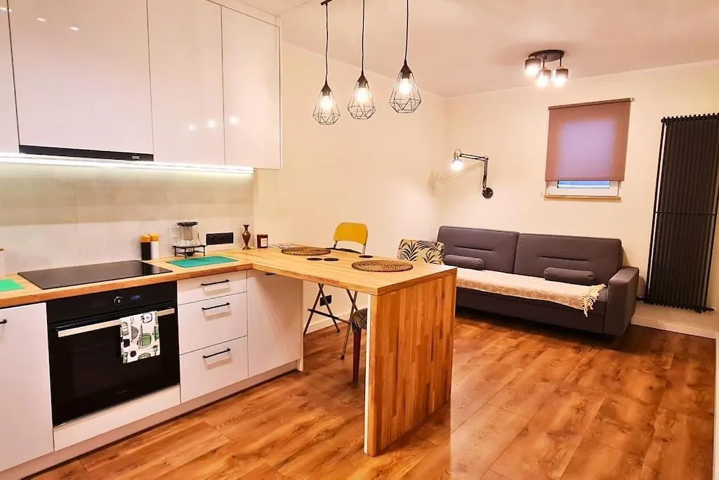 Modern 2 Bedroom Apartment/Kazimierz/Paulinska St. Krakow Apartment