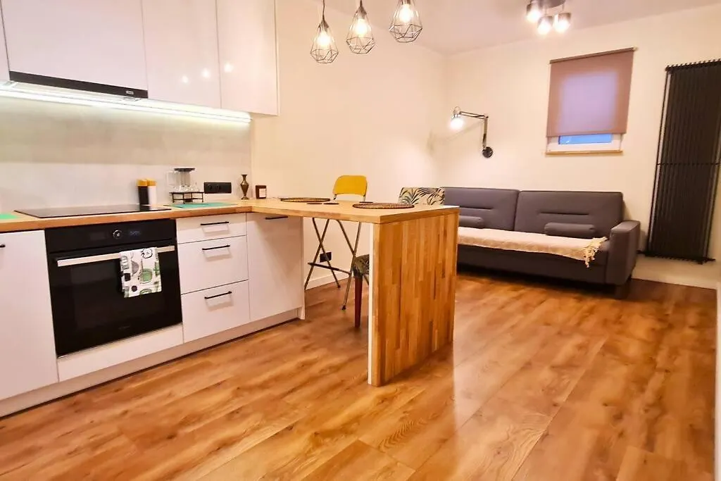 Apartment Modern 2 Bedroom Apartment/Kazimierz/Paulinska St. Krakow Poland