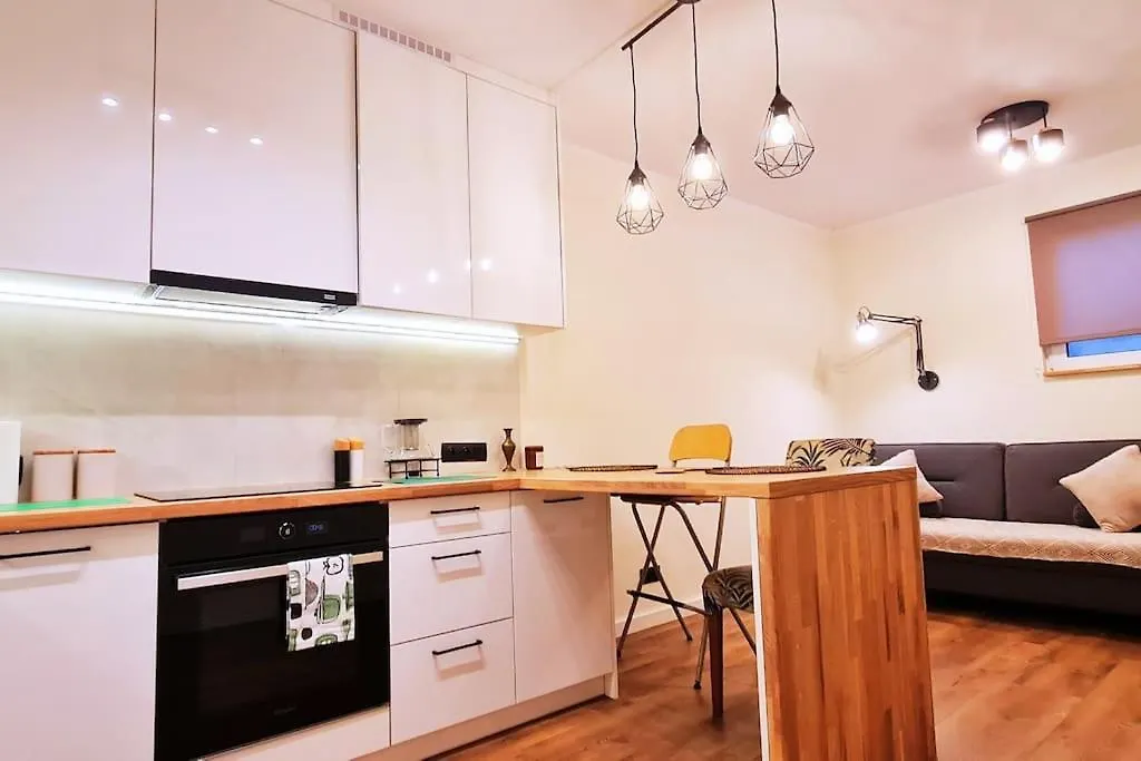 Modern 2 Bedroom Apartment/Kazimierz/Paulinska St. Krakow Apartment